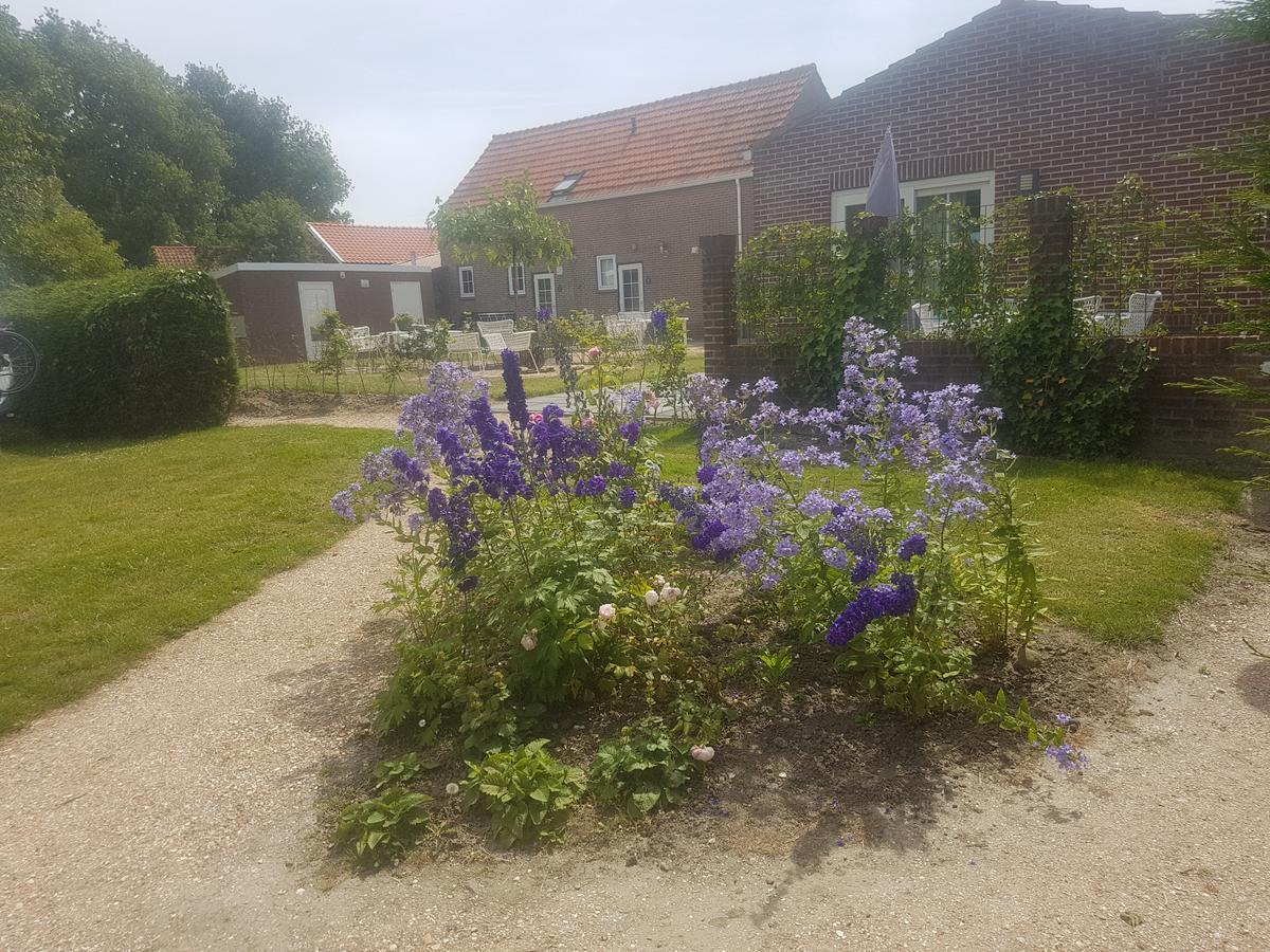 Camping 7Huizen Aan Zee Hotel Scharendijke Kültér fotó